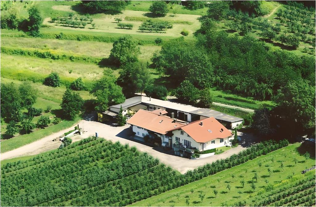 an aerial view of a house in a vineyard at Weingut Ringwald in Herbolzheim