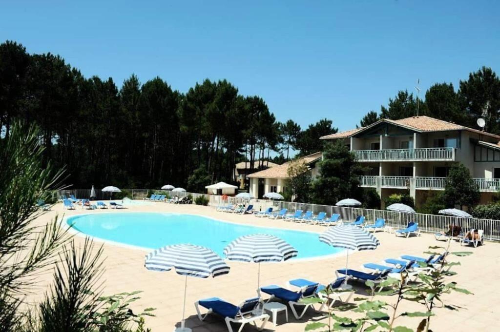 a large swimming pool with chairs and umbrellas at Domaine de Pinsolle in Soustons