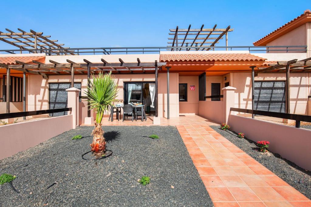 a house with a palm tree in the yard at Sunny Home in Lajares