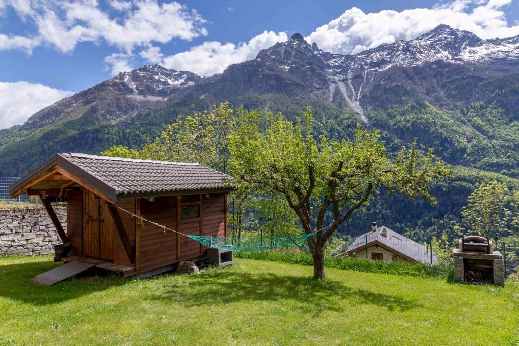 a small cabin in a field with a tree and mountains at Il Melo in Trasquera