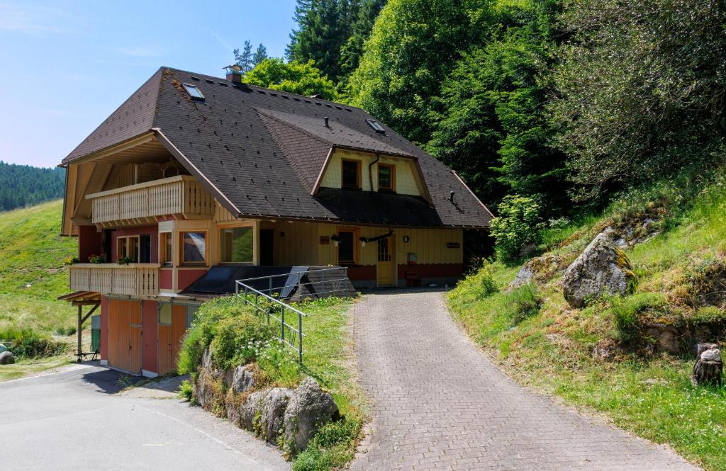 a house on a hill next to a road at Hinterhauensteinhof in Hornberg