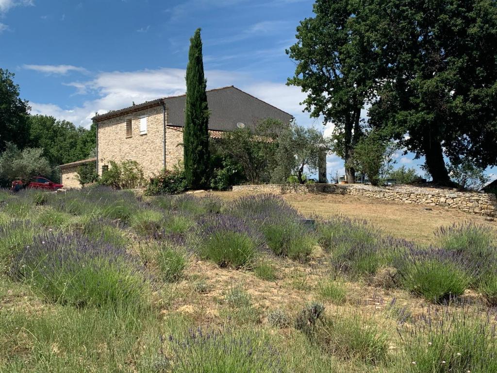 a house with a tree and a field of lavender at Ferme du Luberon in Mane