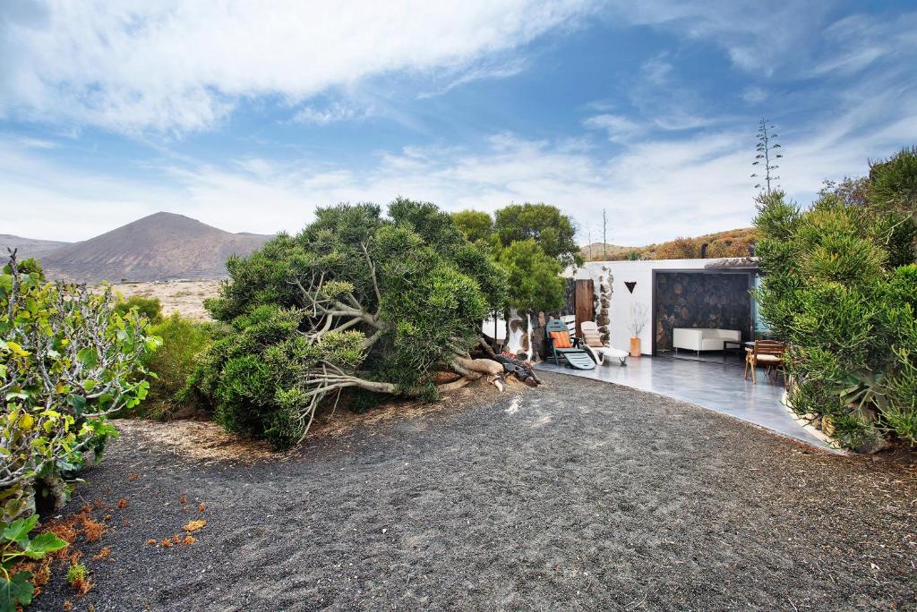 a house with a lot of trees and a gravel driveway at La Bodeguita House in Haría