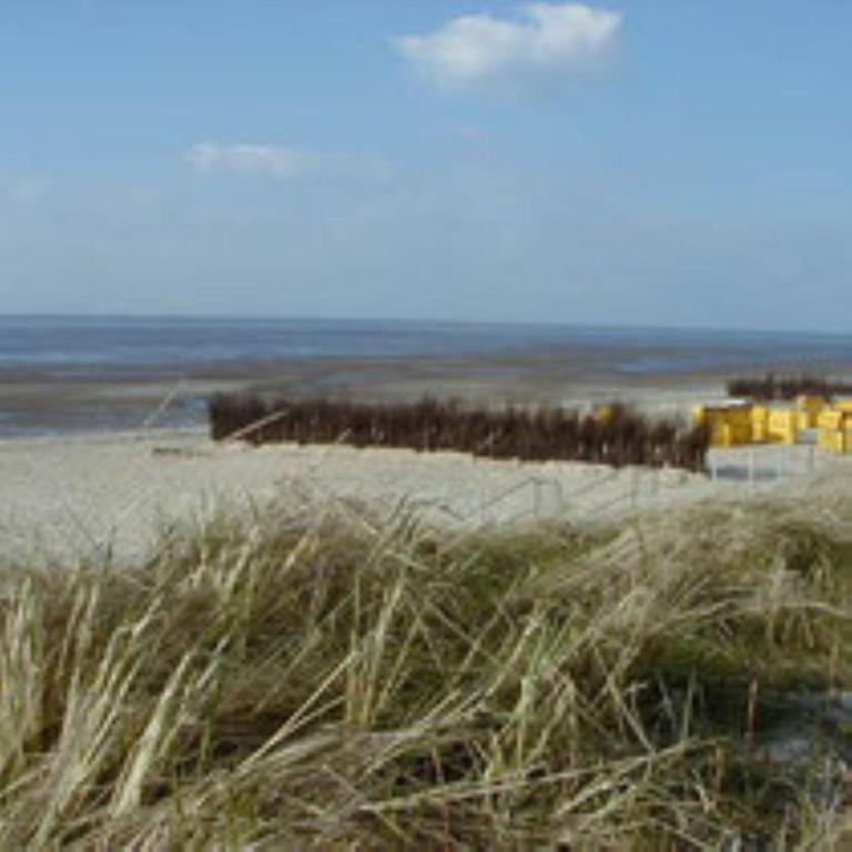 a beach with tall grass and the ocean in the background at Haus Lechner in Cuxhaven