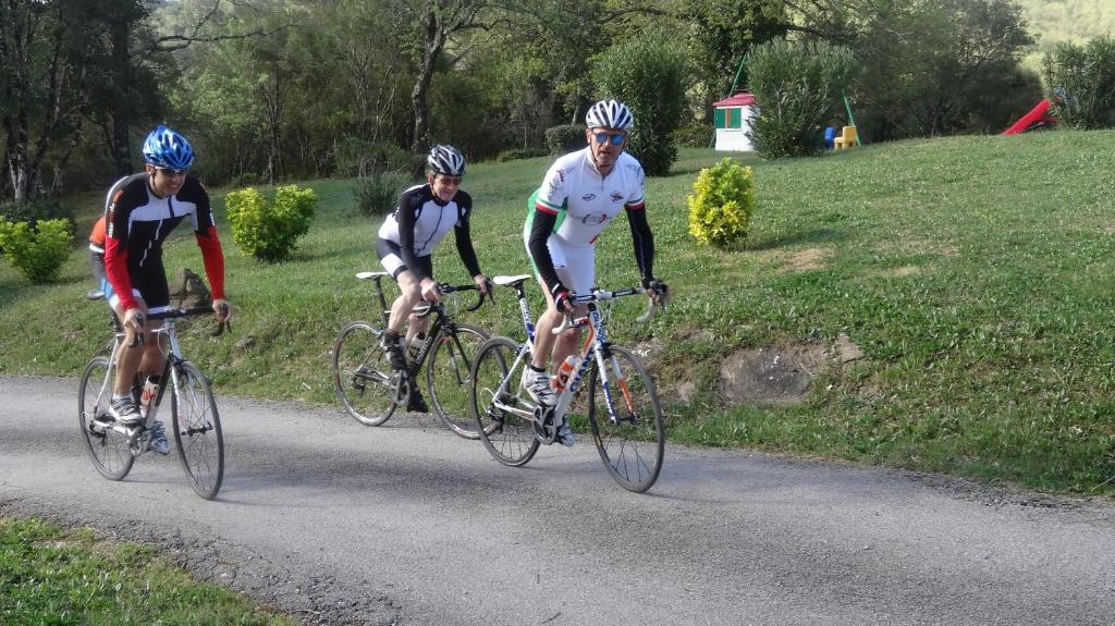 Hosté ubytování Campo Di Carlo