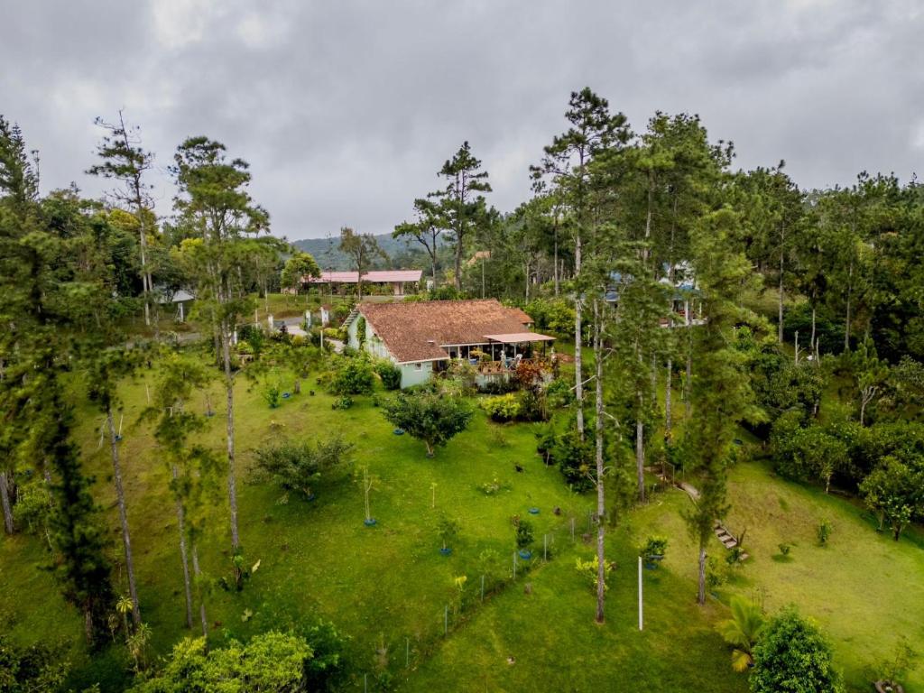 an aerial view of a house with a yard at Casa Selva Escondida in Los Altos de Cerro Azul