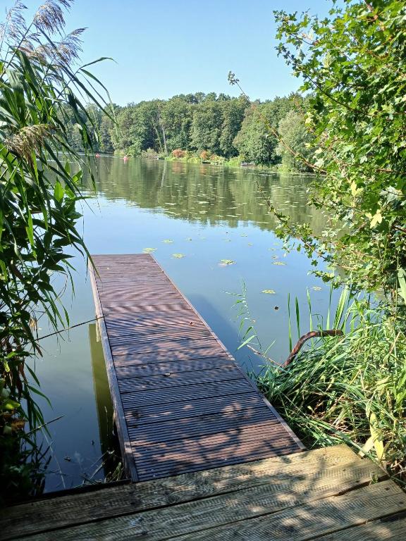 a wooden dock in the middle of a lake at Seeidyll in Heidesee