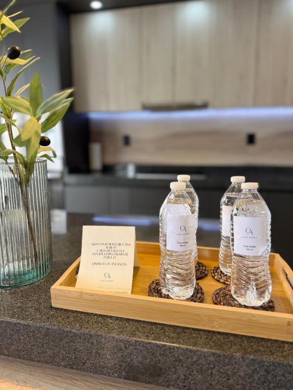 two bottles of water on a tray on a counter at Casaaurea in Jesús María