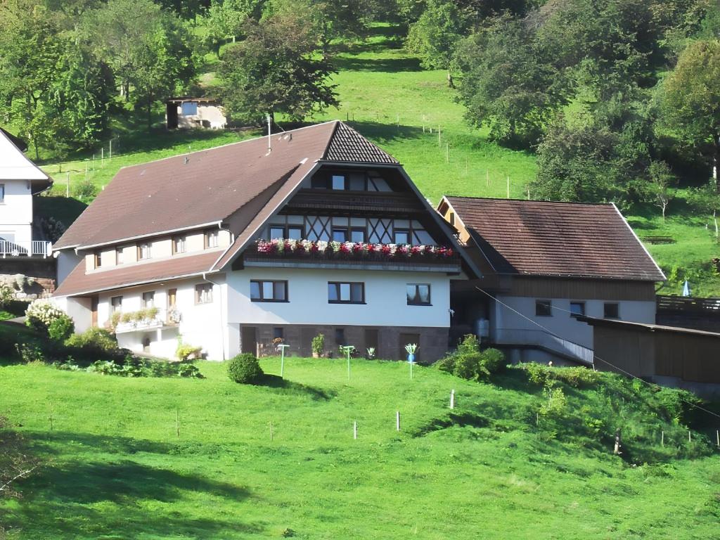 a house on a hill with a green field at Ferienhof Brutoni in Bad Peterstal-Griesbach