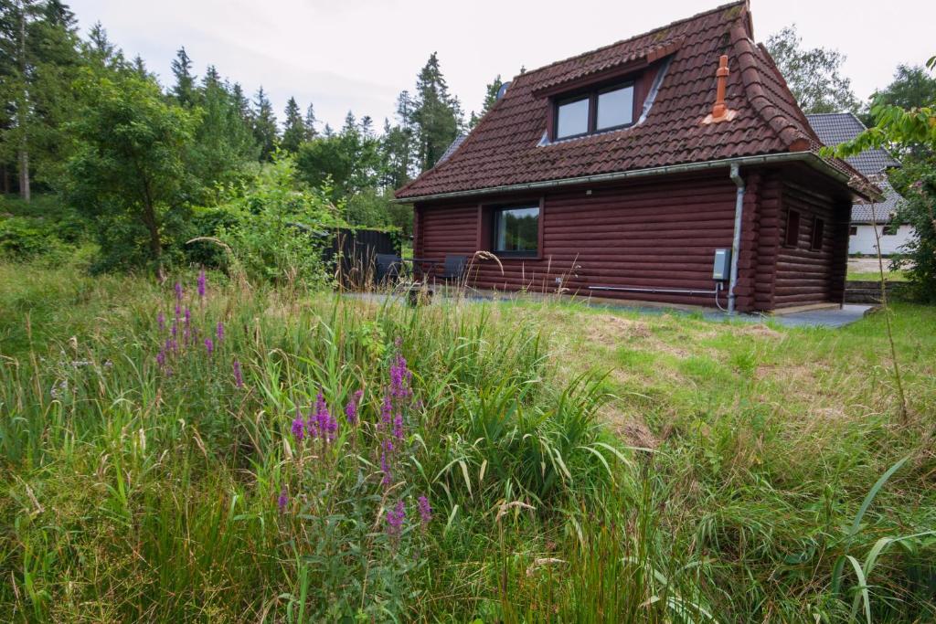 a house with a field of grass and purple flowers at Blockhaus Quellental in Odderade