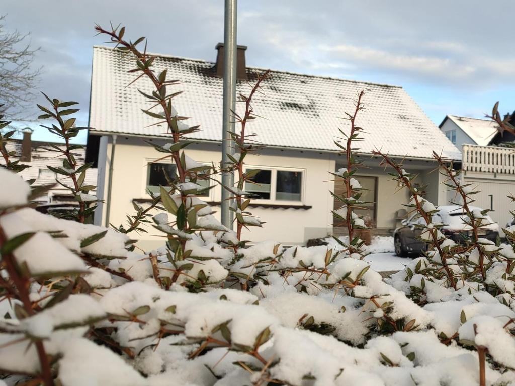 a house covered in snow in front of a yard at Lydias Ferienwohnung in Schmallenberg