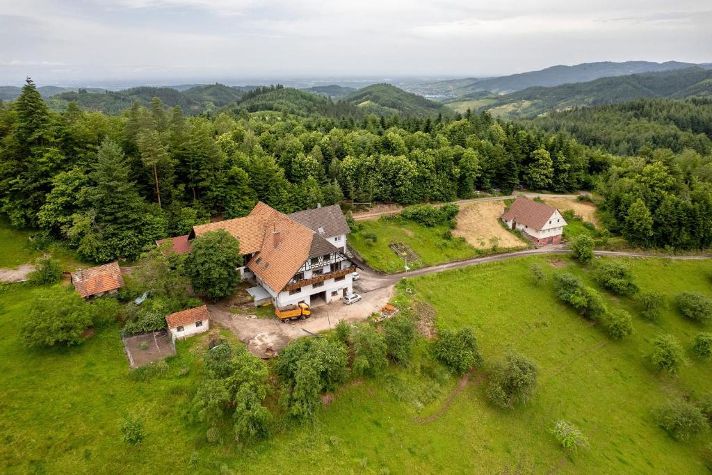 an aerial view of a house on a green field at Grüner Ausblick in Oberkirch