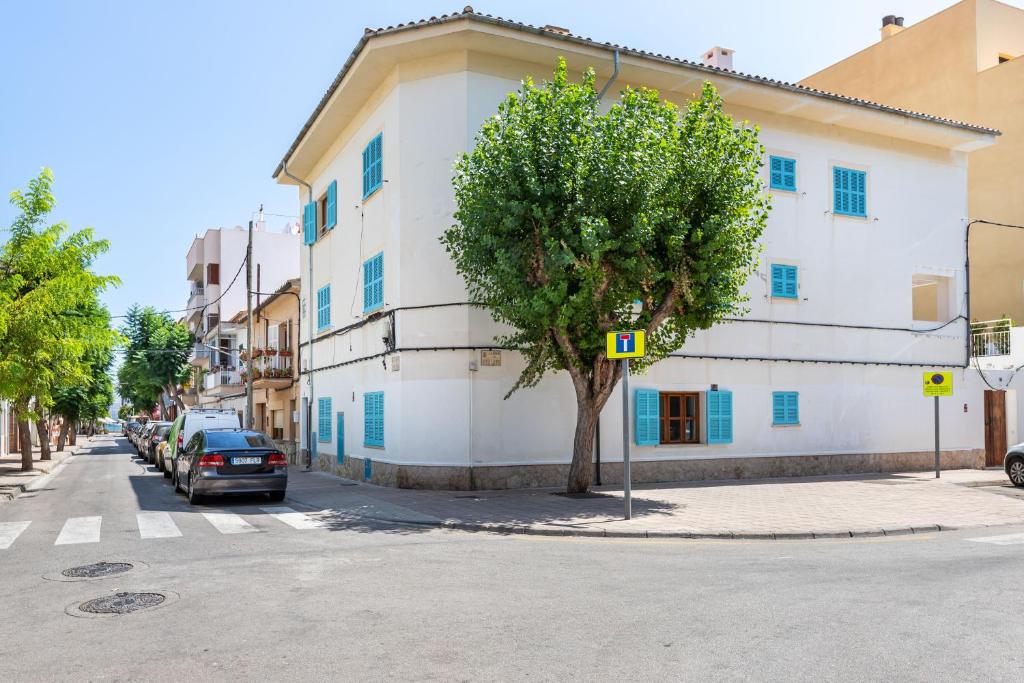 a tree on the side of a street next to a building at Albercutx Pollentia 1 2 3 in Pollença