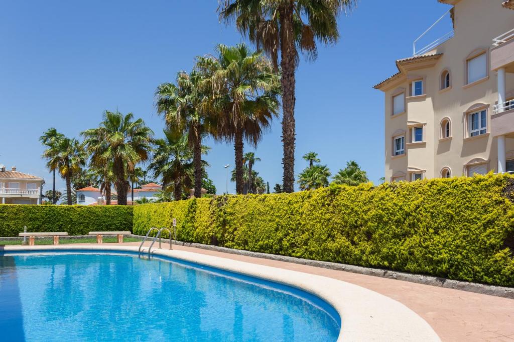 a swimming pool in front of a building with palm trees at Par3 in Oliva