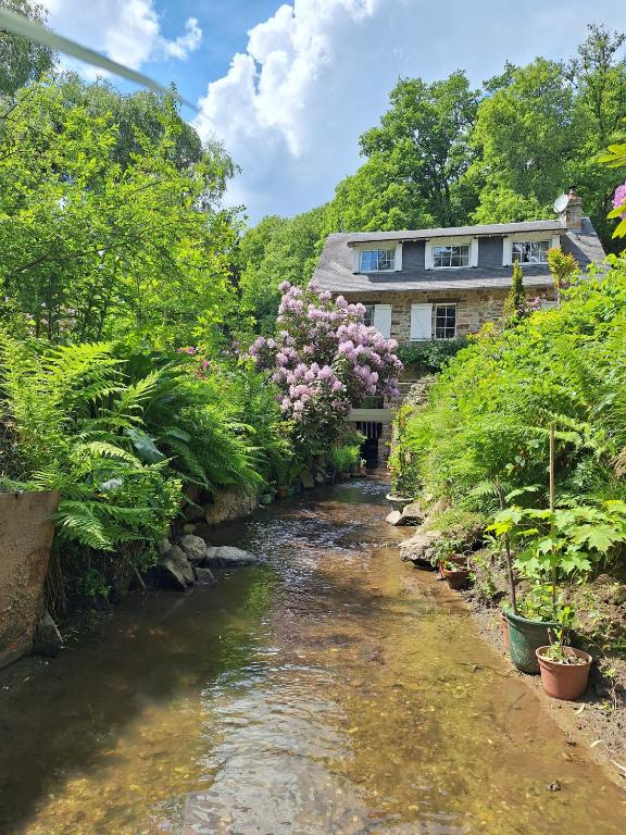 a stream in front of a house with flowers at Gîte du moulin de Tanis in Oisseau