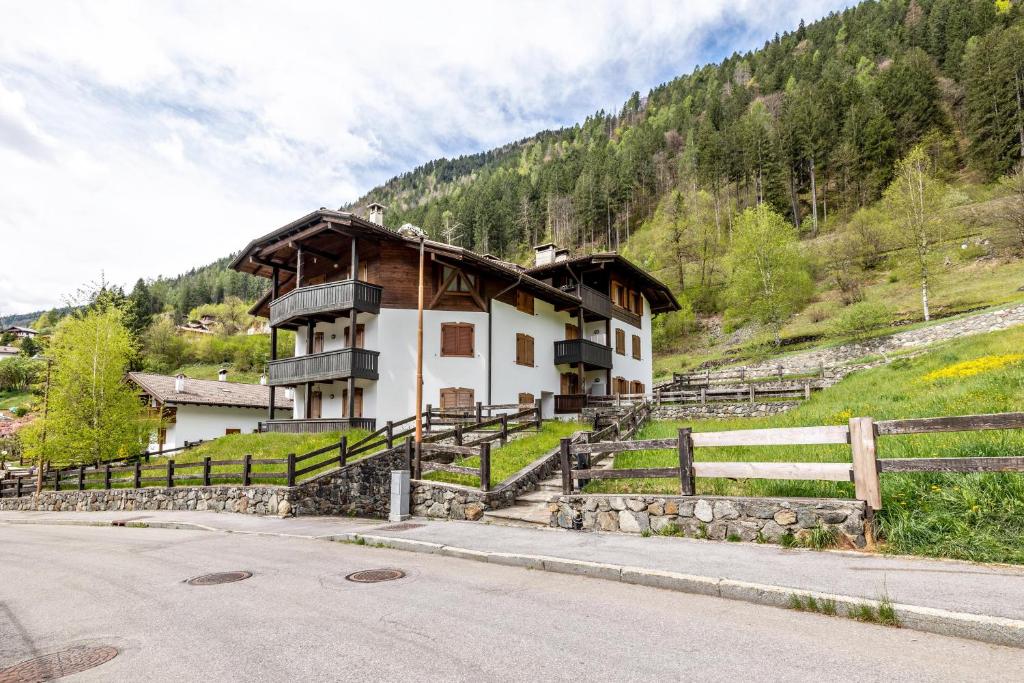 a house on the side of a mountain at Appartamento Collini Le Betulle in Spiazzo