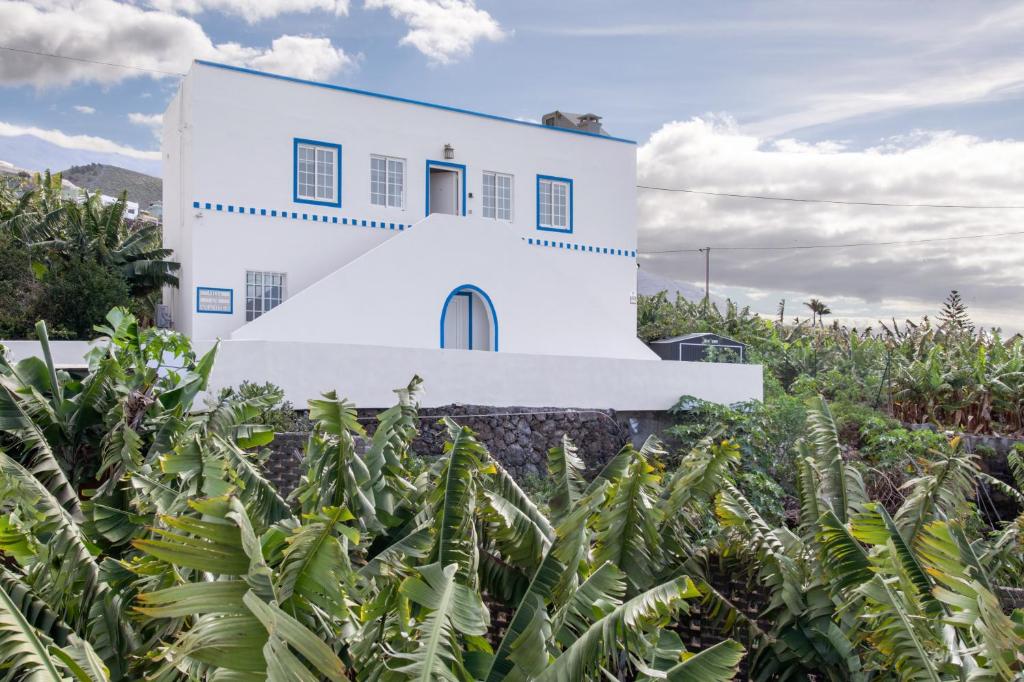 a white building in a field of plants at Villa Los Aguacateros in Tazacorte