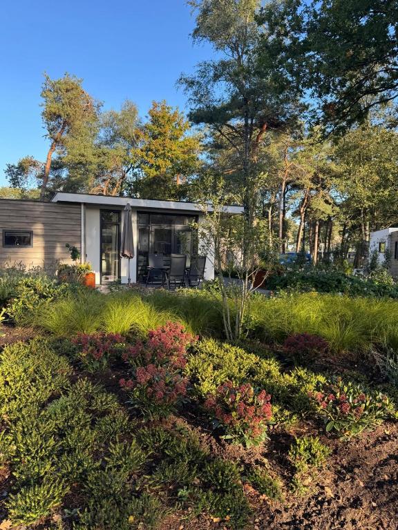 a house in the middle of a garden at Sallands Boschalet in Haarle