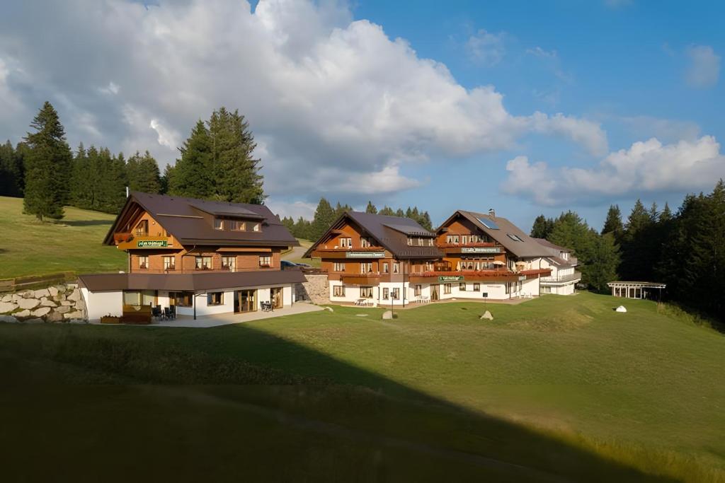 an aerial view of a large house on a golf course at Cafe-Restaurant-Gästehaus Waldvogel in Feldberg