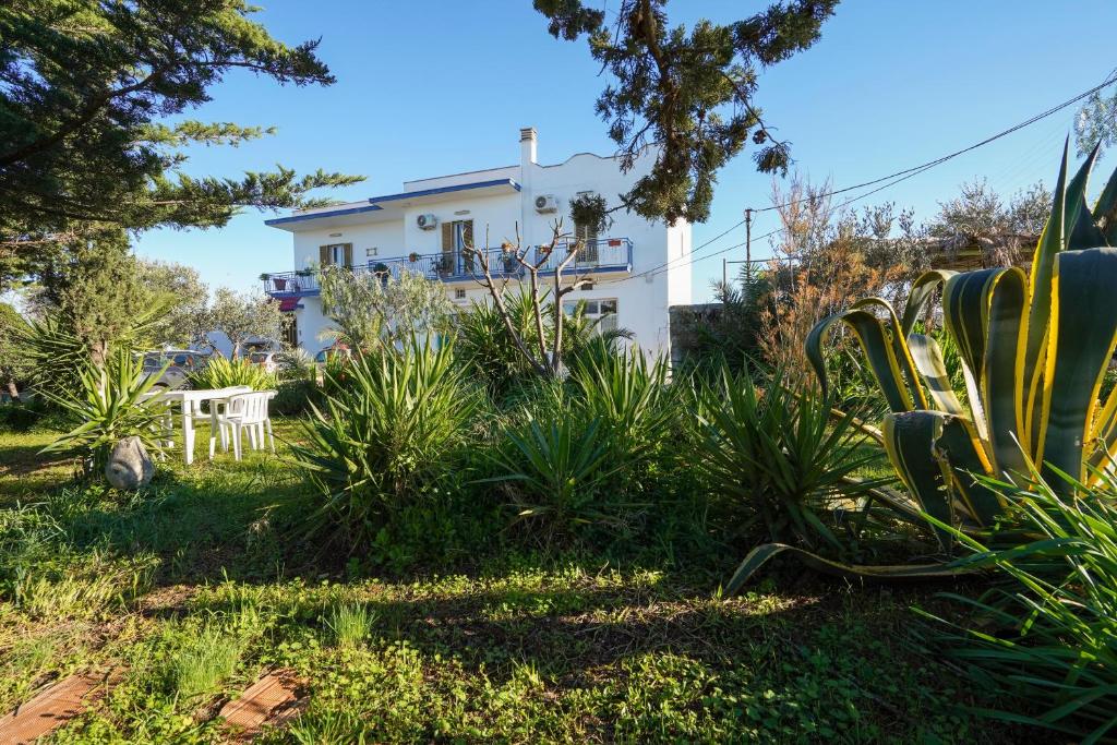 a view of the house from the garden at La Casa di Marta in Faccia di Trippa