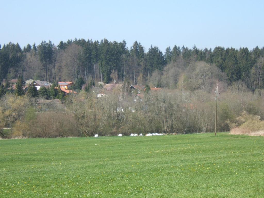 a field of green grass with houses in the background at Ferienwohnung Schwahn in Kleinschönach
