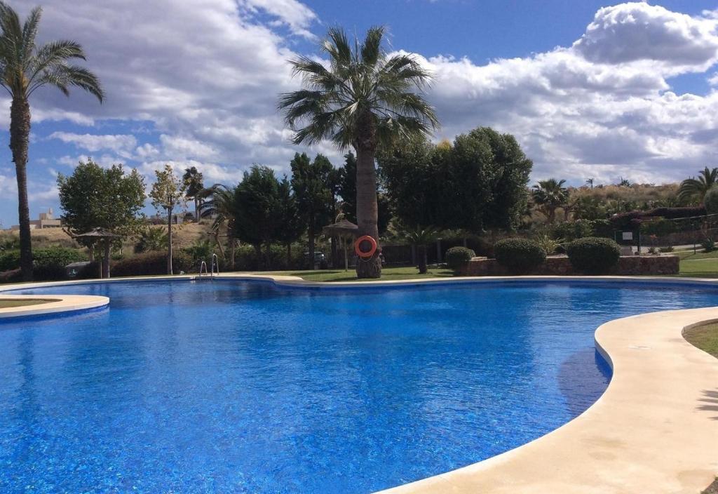 a large blue swimming pool with palm trees at Los Almendros in Vera