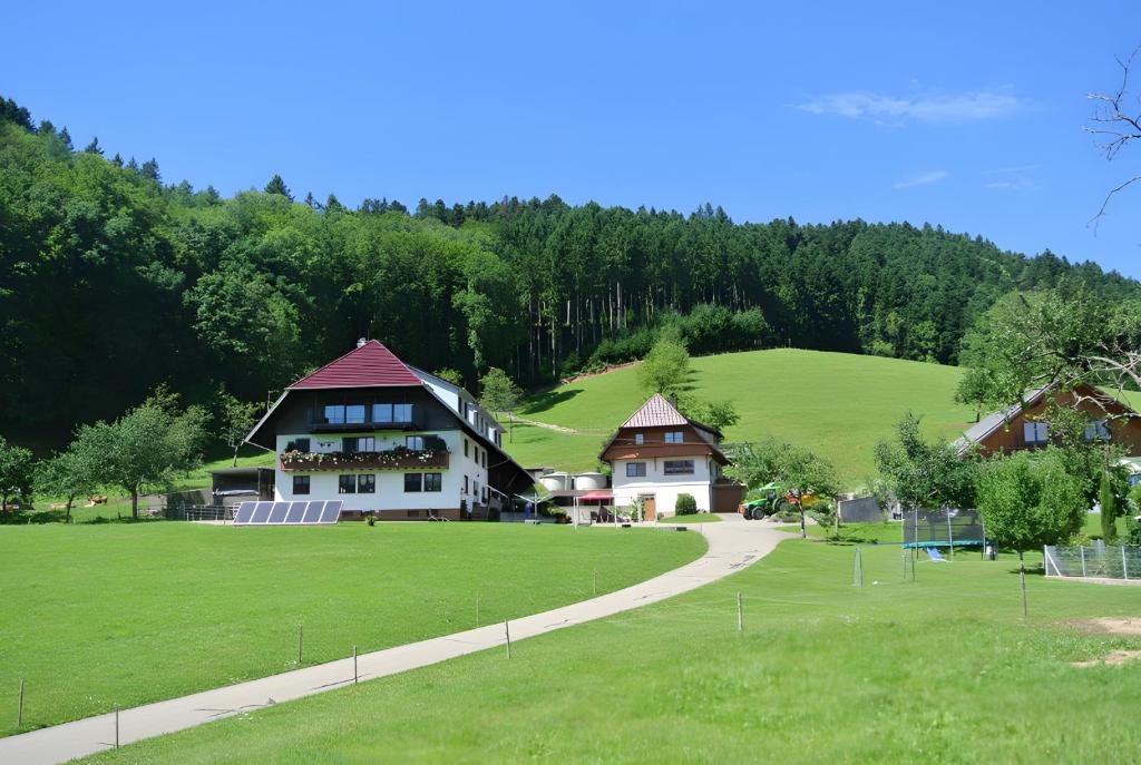 a house on a hill with a green field at Vordersbergerhof in Hausach
