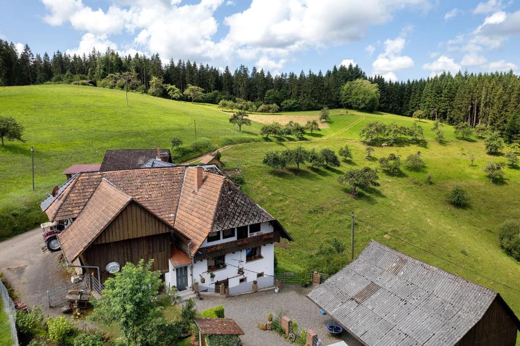an aerial view of a house in a field at Ferien auf der Fleischdielte in Mühlenbach
