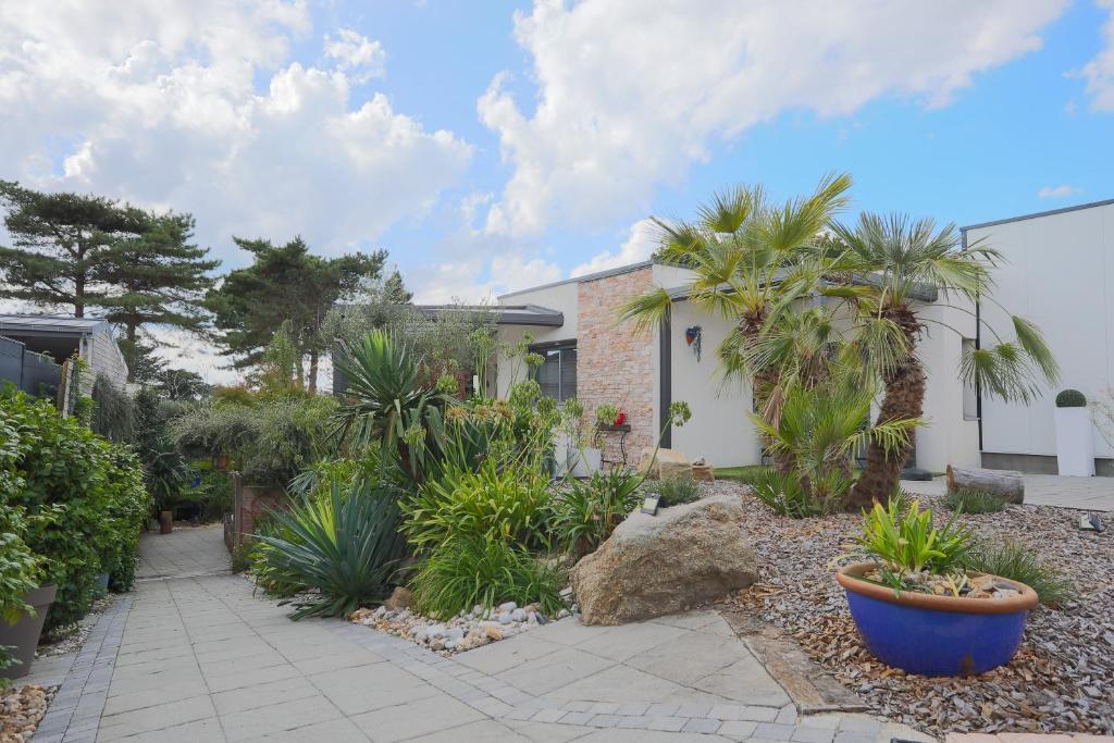a garden with palm trees and a house at Gîte Les Galets Blancs in Trébeurden