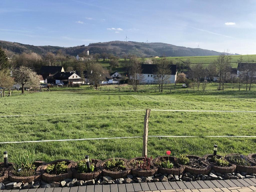 a row of plants in a garden with a field at Ferienwohnung Wiesenblick in Plettenberg