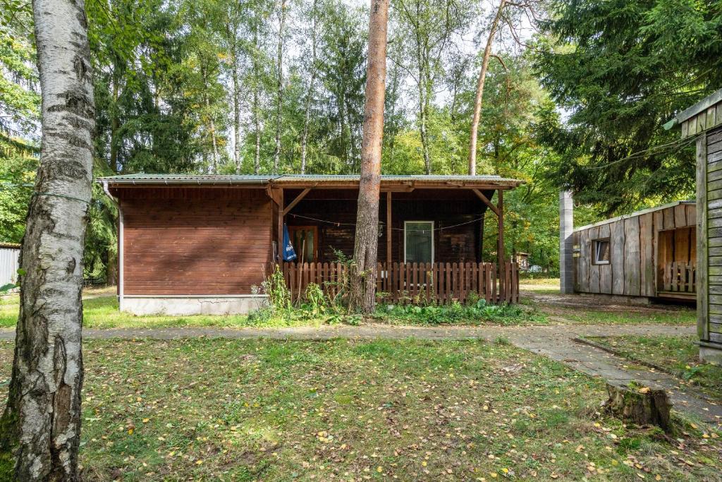 a cabin in the woods with a tree at Bungalow 18 - Finnhütte in Niesky