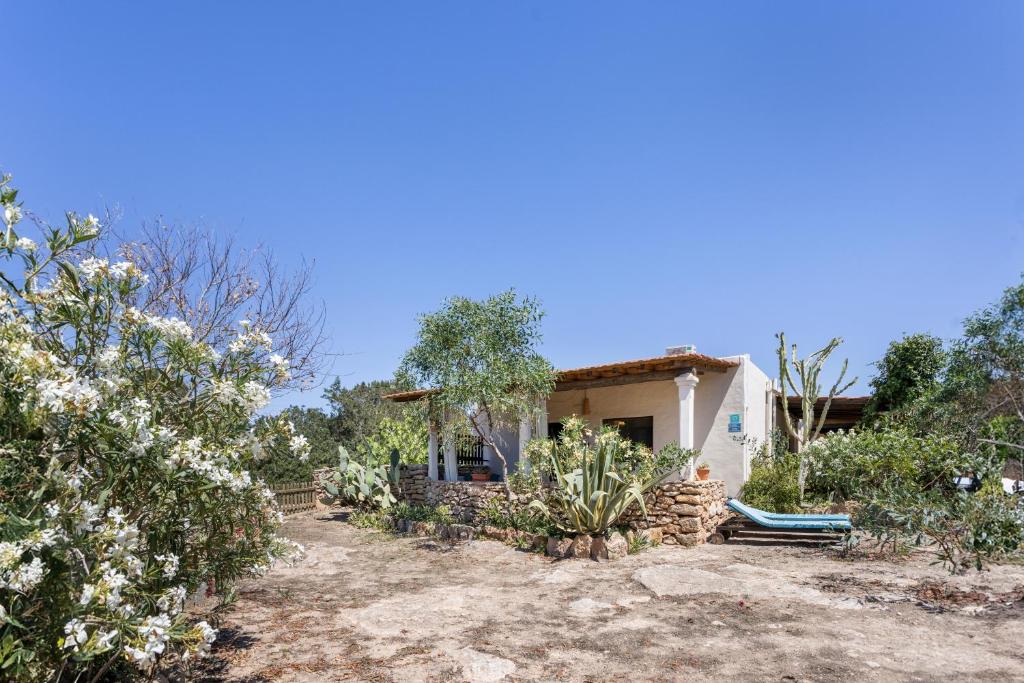 a small house in the middle of a garden at Can Mussenya 2 in Illes Balears