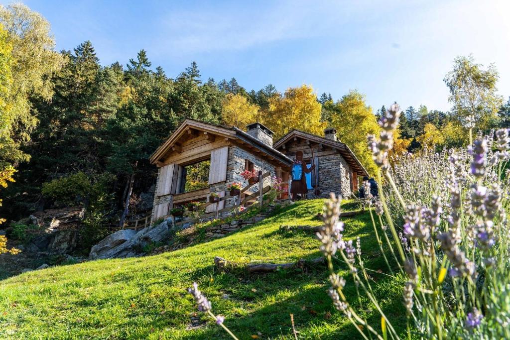 a cabin on top of a hill with flowers at Chalet Panorama Res Albert in San Guglielmo