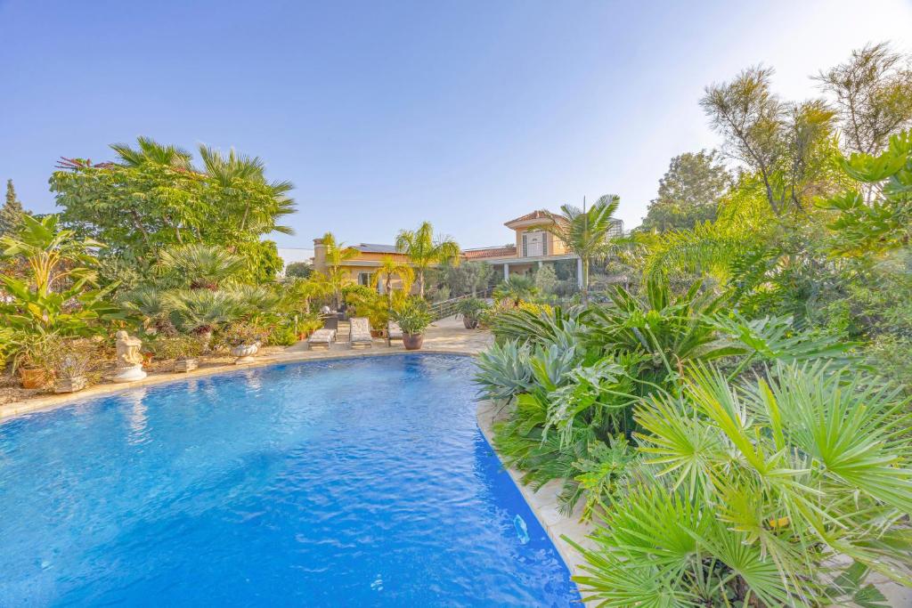 a swimming pool in a yard with trees and a house at Sconto in L'Alfàs del Pi