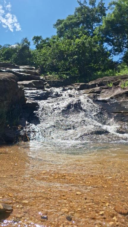 a stream of water on a rocky shore with trees at Fazenda São Leandro in Rio das Flores