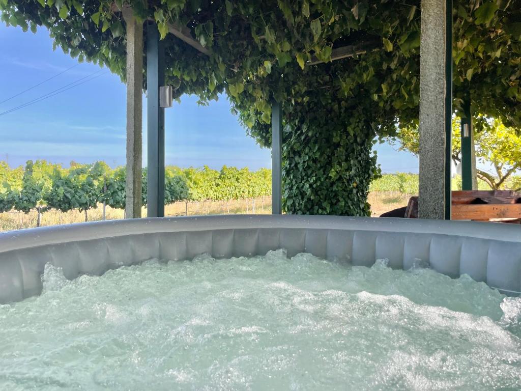 a hot tub with water in the middle at Casa Trincadeira in Palmela