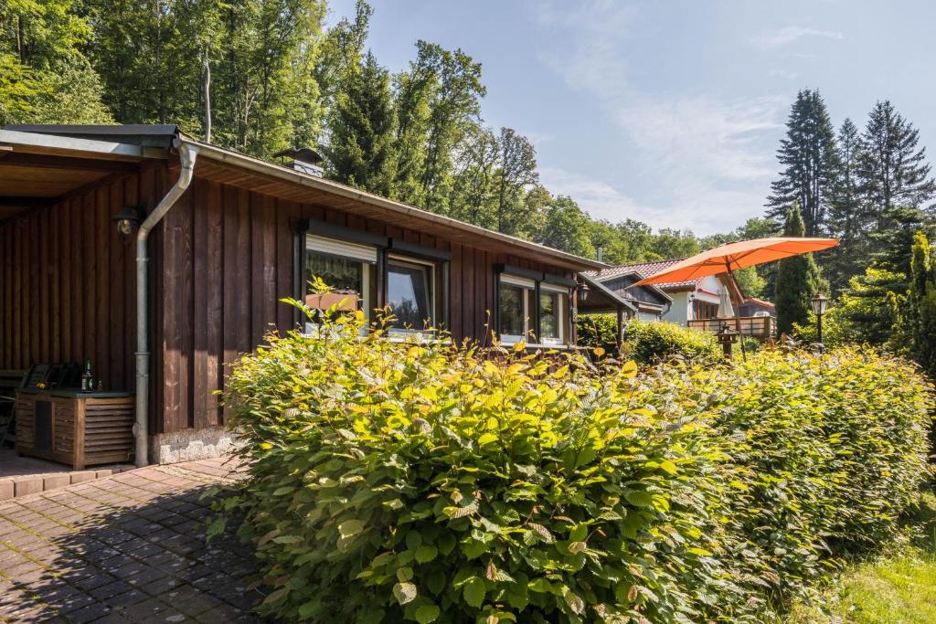 a house in the woods with a garden at Ferienhaus Lausekuppe Neustadt in Neustadt