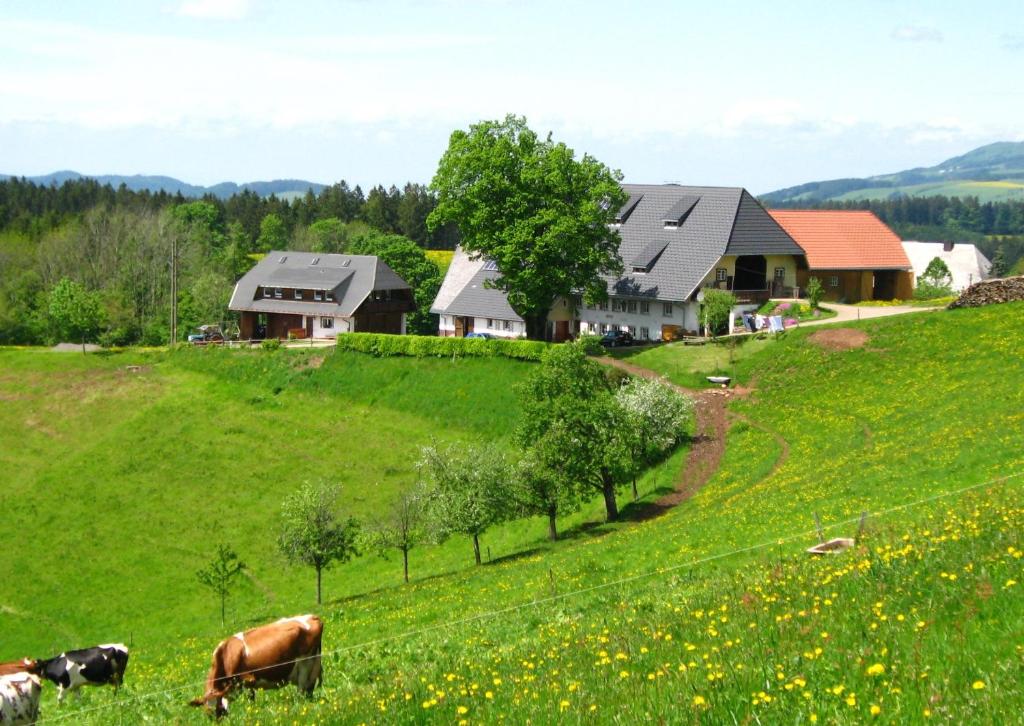 Zwei Kühe grasen auf einer grünen Wiese mit Häusern in der Unterkunft Brosihof in Erlenbach