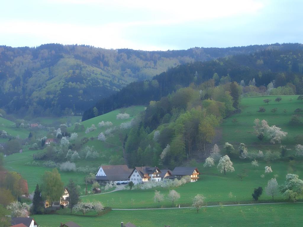 a house in the middle of a green field at Scharbachhof in Glottertal