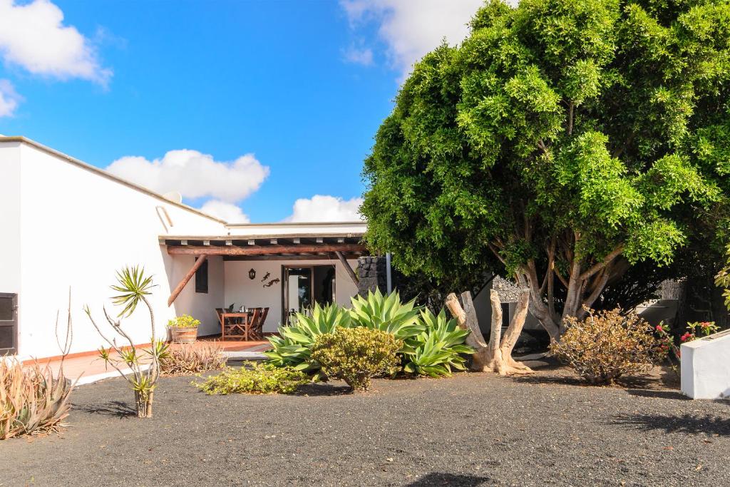 a house with a lot of plants in front of it at Finca La Rubina in Teguise