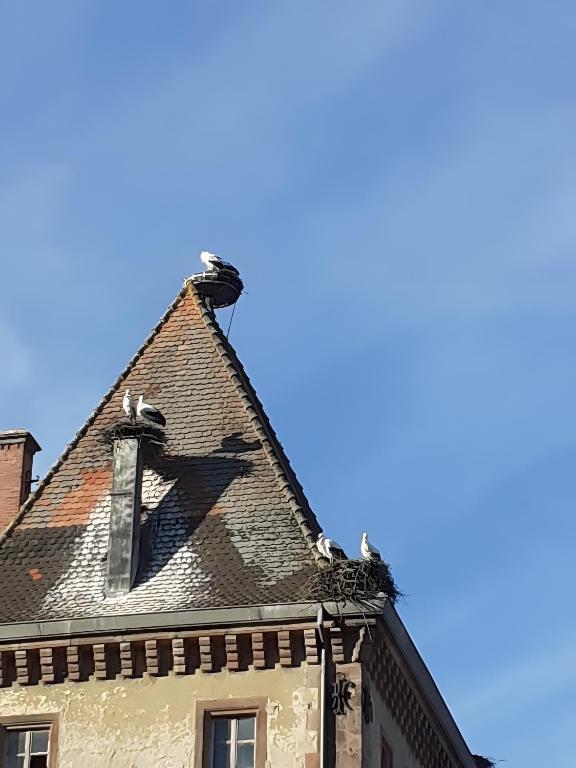 Au Coeur De Notre Vallée – photo 25