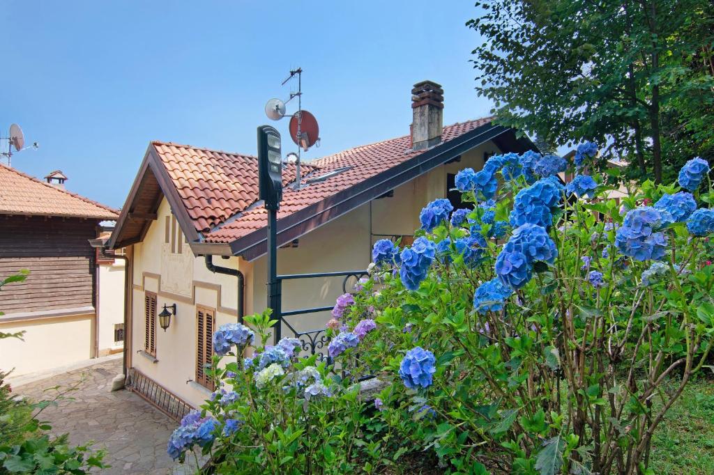 a house with blue flowers in front of it at Residenza ai Noci in Lanzo dʼIntelvi