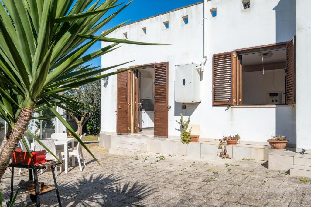 a house with a palm tree in front of it at Villa Olga in Nardò
