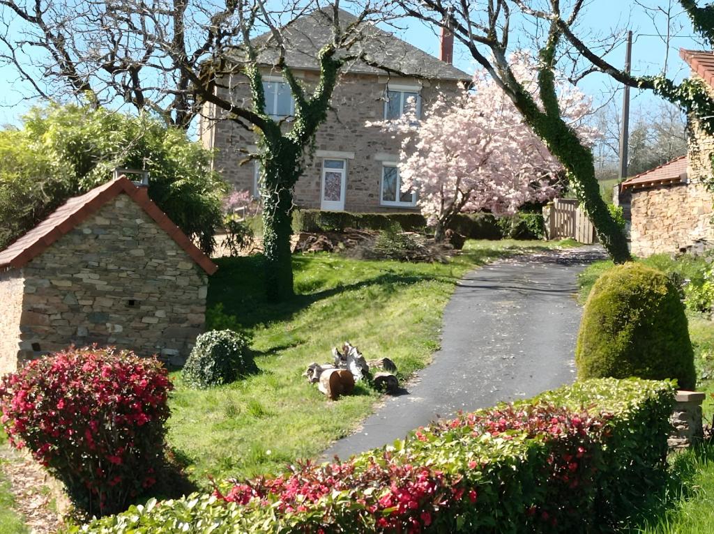 a couple of dogs laying in the grass in front of a house at Gîte des Bruyeres in Beynat