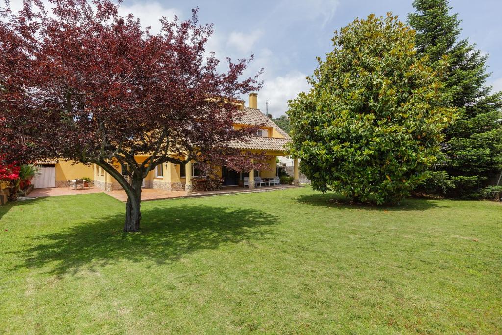 a tree in the yard of a house at Casa con jardín próxima a Barcelona in Sant Andreu de Llavaneres