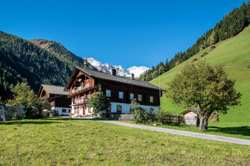 a large wooden house in a field with a mountain at Stifterhof App Mathilda in Rio Bianco