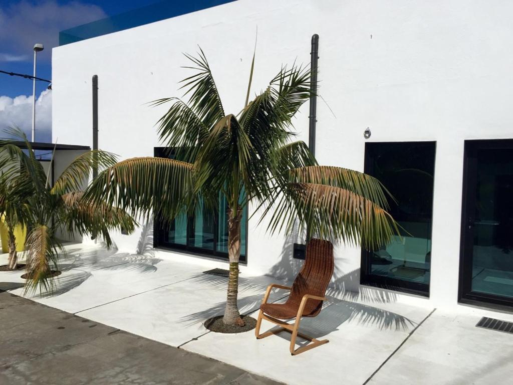 a palm tree and a chair in front of a building at Villa Mamita in Los Llanos de Aridane