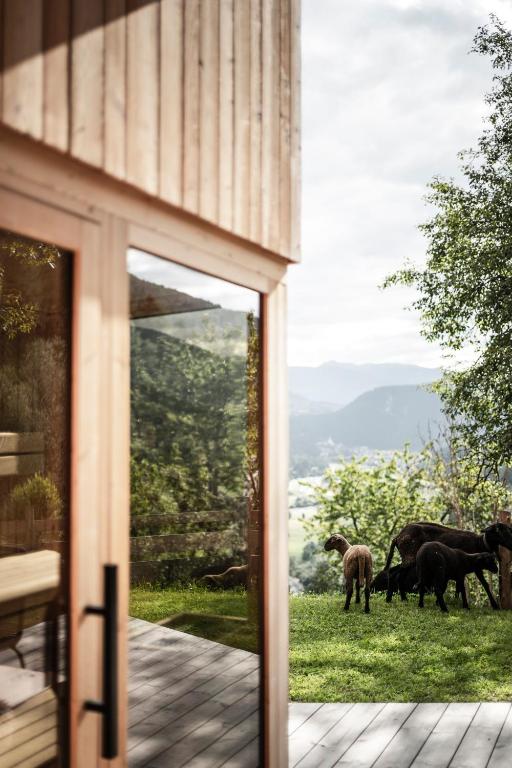 a view of horses standing in the grass from a house at Oberplunerhof Luxury Chalet Woods in Chienes