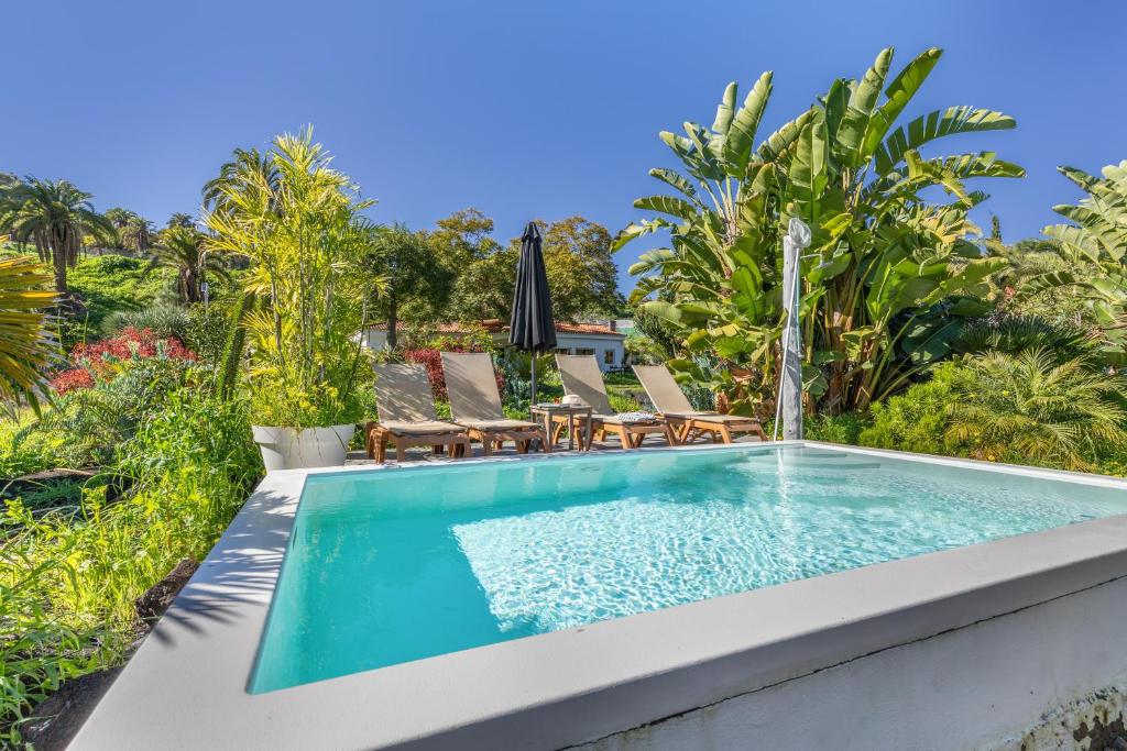 an infinity pool in a backyard with chairs and a table at Finca El Dragonal With Private Pool in Santa Brígida