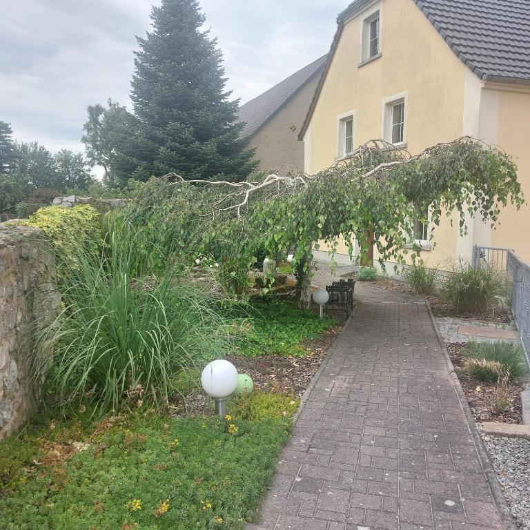 a garden with a brick walkway in front of a house at Birkenhof Pließkowitz in Malschwitz